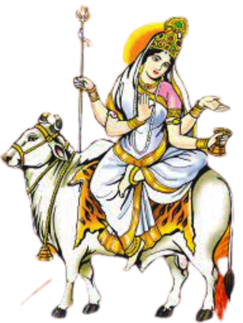 download__3_-removebg-preview (1)